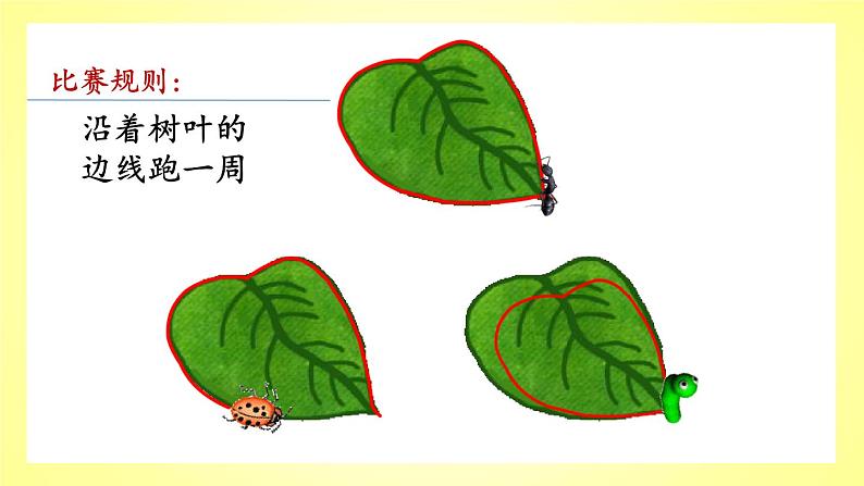 三年级上册数学课件- 八 认识周长_青岛版（共27张PPT）第3页