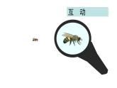 人教版数学六年级下册   4.3.2图形的放大与缩小  课件