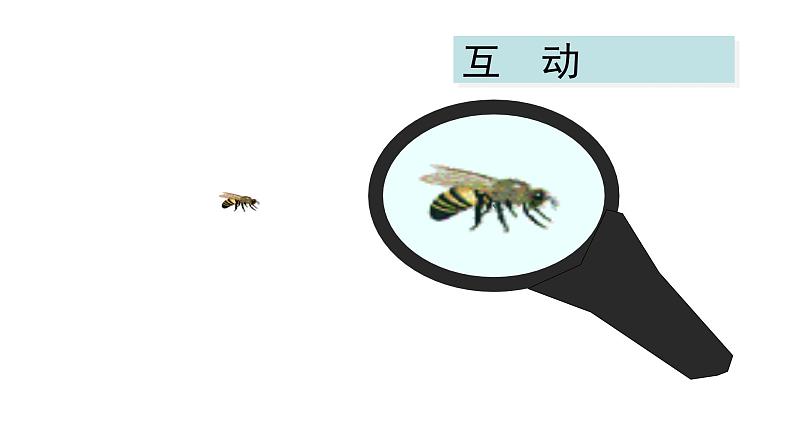 人教版数学六年级下册   4.3.2图形的放大与缩小  课件第3页