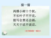 人教版小学五年级数学植树问题课件