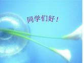 四年級(jí)上冊數(shù)學(xué)課件 - 6.2 商不變的性質(zhì)   北京版（共19張PPT）