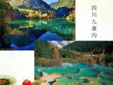 四年級上冊數學課件 - 8 條形統(tǒng)計圖   北京版（共11張PPT）