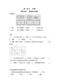 小学数学图形的放大与缩小课时训练