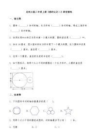 数学六年级上册2 圆的认识（二）同步测试题