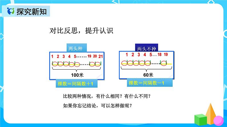 人教版数学五上第七单元第二课时《植树问题》课件+教案+同步练习（含答案）07