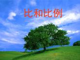 六年级数学下册课件-7.1.13正比例和反比例（1）50-苏教版