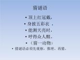 五年级上册数学课件-6.2 鸡兔同笼问题 北京版（17张PPT）
