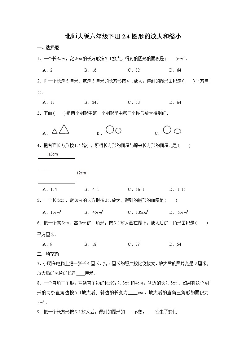 北师大版六年级下册2.4图形的放大和缩小练习题01