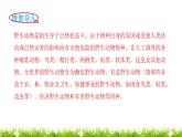 2下数学北师大精品课件第3课时  十年的变化