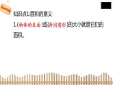 3下数学北师大精品课件1　什么是面积