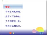 三年级数学下册课件-五 年、月、日 - 苏教版（共9张PPT）