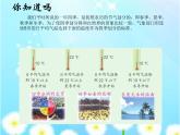 三年级数学下册课件-五 年、月、日 - 苏教版（共9张PPT）