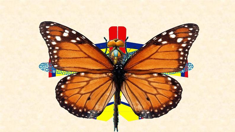 五年级下册数学课件-1  认识轴对称图形-冀教版（25张PPT)第2页