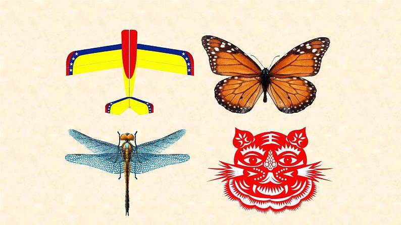 五年级下册数学课件-1  认识轴对称图形-冀教版（25张PPT)第4页