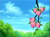 四年級(jí)上冊數(shù)學(xué)課件-6.2 商不變的性質(zhì)   北京版（共16張PPT）