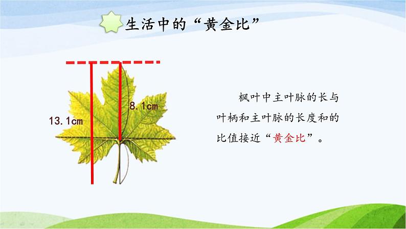 北京课改版数学六年级下册3.1 黄金比课件08