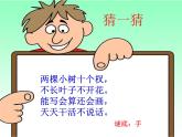 五年级数学上册课件-7 植树问题80-人教版(共17张ppt)