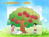 西师大版数学 四年级下册课件PPT总复习 57 第一课时