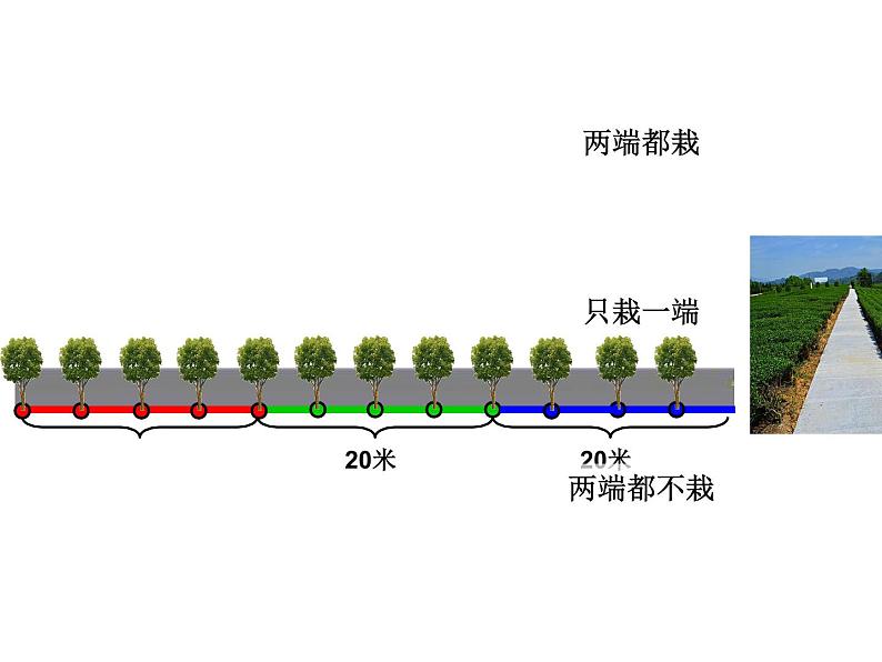 五年级数学上册课件-7. 数学广角—植树的问题 -人教版（共11张PPT）第5页