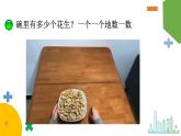 生活中的数 数花生课件PPT