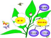 三年级数学下册课件-六 长方形和正方形的面积计算练习 - 苏教版（共27张PPT）