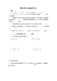 苏教版数学六年级上册期末复习作业3
