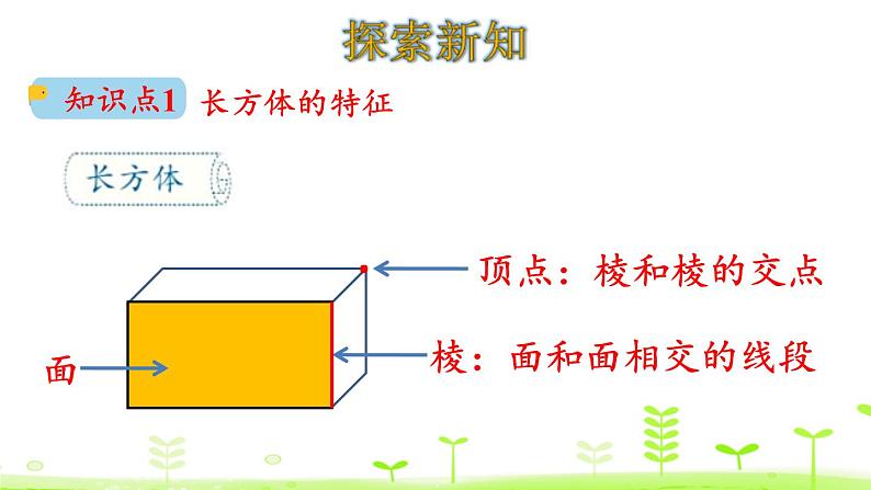 微教研 长方体的认识11课件PPT02