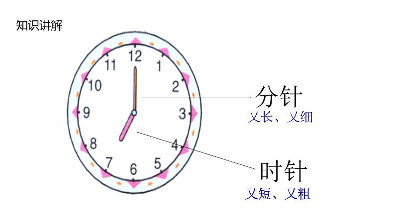 一年级数学上册教学课件-7 认识钟表64-人教版第7页