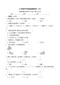 小学数学毕业模拟测试卷(20)（无答案）