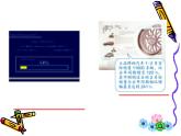 百分数(一)课件
