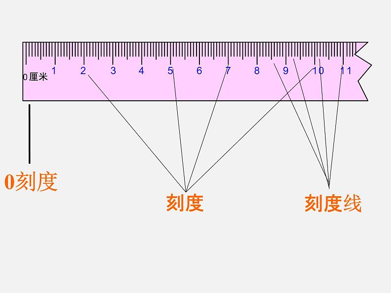 人教版二年级数学上册 1 长度单位(1) 课件第6页