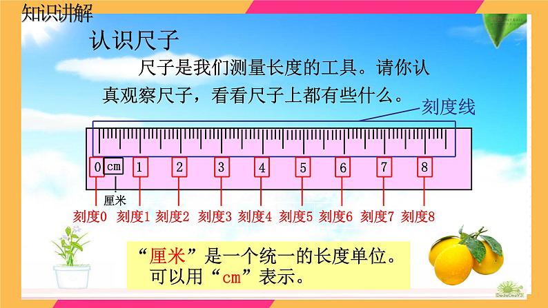 人教版二年级数学上册 1 长度单位-认识厘米(3) 课件05