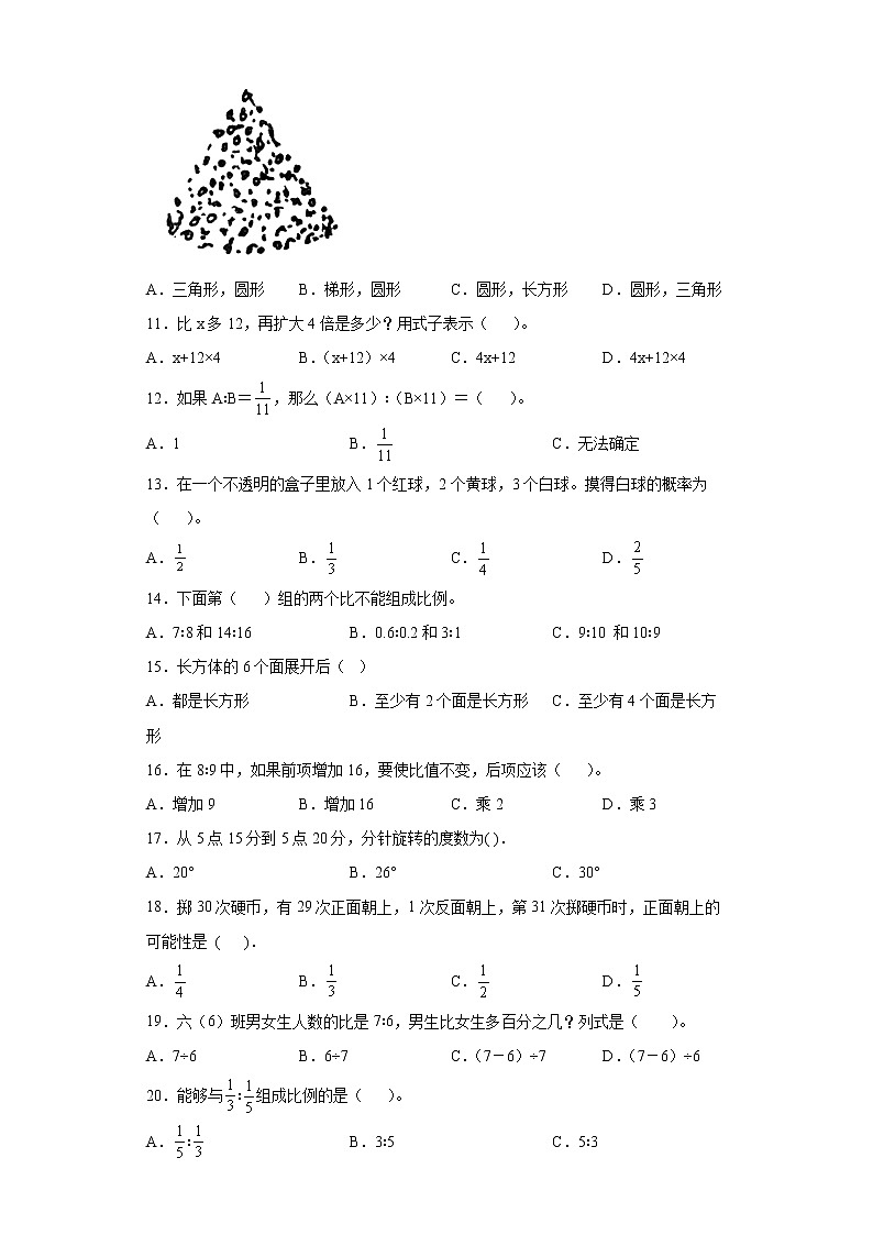 基础知识选择题（小升初专项测试题）-2021-2022学年数学六年级下学期 (2)第2页