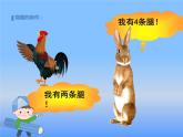 鸡兔同笼问题课件PPT