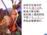 二年级数学上册课件-6.1  7的乘法口诀（26）-人教版（共11张PPT）