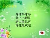 二年级数学上册课件-6.1  7的乘法口诀（17）-人教版