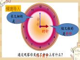 北师大版数学一上 8.1 小明的一天 课件+教案+同步练习