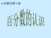 六年级上册数学课件-3.1 百分数的意义 北京版（17张PPT）