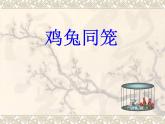 小学数学西师大版六年级下 总复习 鸡兔同笼 课件