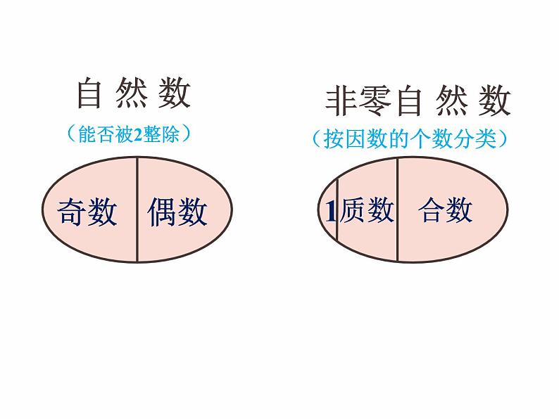 西师大版小学数学五下 1.3合数、质数 课件07