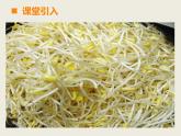 西師大版小學數(shù)學五下 6.2綜合與實踐 發(fā)豆芽 課件