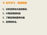 西師大版小學數(shù)學五下 6.2綜合與實踐 發(fā)豆芽 課件