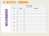 西師大版小學數(shù)學五下 6.2綜合與實踐 發(fā)豆芽 課件