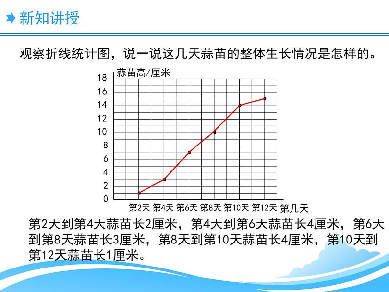 6.3栽蒜苗（二） 课件04