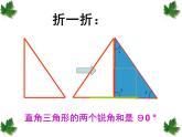 4.3三角形的内角和  课件