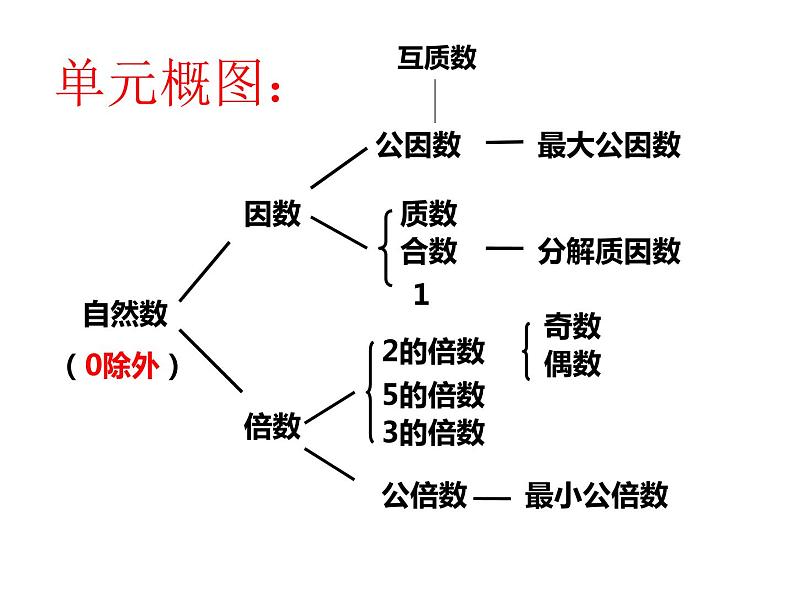 西师大版小学数学五下 1.5整理与复习 课件06