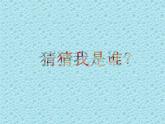 二年級(jí)下冊數(shù)學(xué)課件-5.2 驗(yàn)證正方形的特征｜冀教版  13張