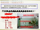 小学数学 苏教课标版 六年级上册 9《长方体和正方体整理与复习》 课件