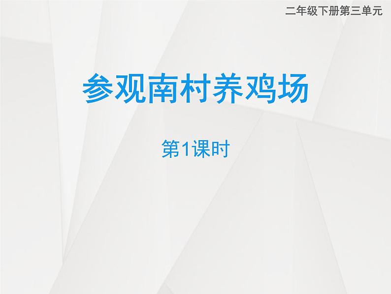 西师大版小学数学二下 3.7综合与实践 参观南村养鸡场 课件第1页