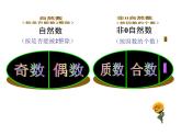 西師大版小學(xué)數(shù)學(xué)五下 1.3合數(shù)、質(zhì)數(shù) 課件